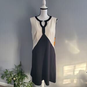 ILE New York Sleeveless Color Block Dress 12